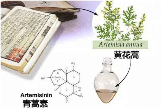 必赢平台,必赢（中国）：向中医药看齐，与世界共享中医药文化(图1)